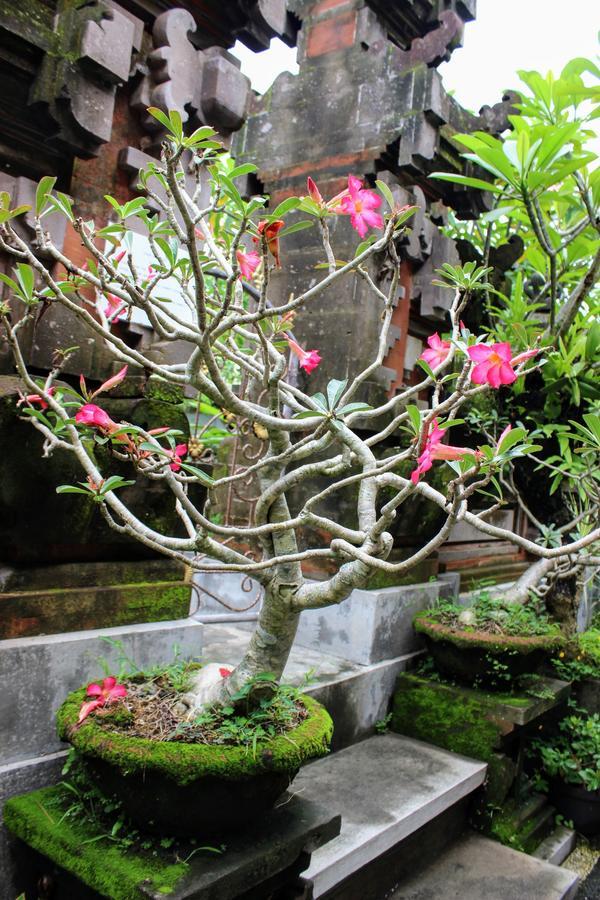 Rama Homestay Ubud Eksteriør bilde
